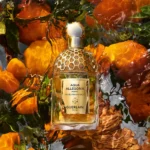 GUERLAIN AQUA ALLEGORIA FORTE MANDARINE BASILIC EDP 125ML