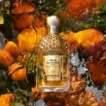 GUERLAIN AQUA ALLEGORIA FORTE MANDARINE BASILIC EDP D 75ML
