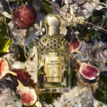 GUERLAIN AQUA ALLEGORIA FORTE NEROLIA VETIVER EDP D 75ML