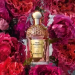 GUERLAIN AQUA ALLEGORIA FORTE ROSA ROSSA EDP D 75ML GUERLAIN AQUA ALLEGORIA FORTE ROSA ROSSA EDP D 75ML