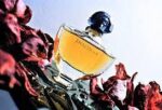 GUERLAIN SHALIMAR EDP D
