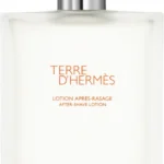 HERMES TERRE ASH 100ML
