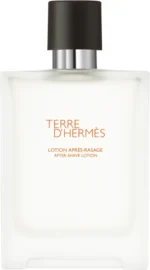 HERMES TERRE ASH 100ML