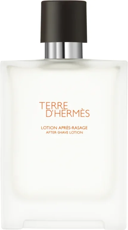 HERMES TERRE ASH 100ML