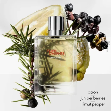HERMES TERRE D`HERMES EAU GIVREE EDP M 175ML
