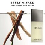 ISSEY MIYAKE NUIT D`ÌSSEY EDT M 125ML