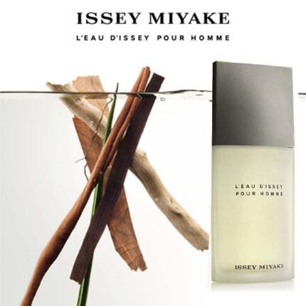 ISSEY MIYAKE NUIT D`ÌSSEY EDT M 125ML