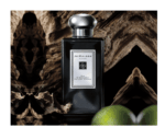 JO MALONE OUD&BERGAMOT COLOGNE INTENSE U 100ML