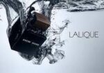 LALIQUE ENCRE NOIR EDT
