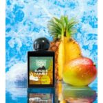 LORENZO PAZZAGLIA SUMMER HAMMER EXTRAIT DE PARFUM 50ML