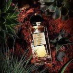 MAISON NOIR BOHEMIA 265 EDP U 100ML