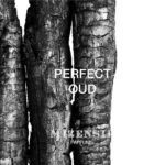 MIZENSIR PERFECT OUD EDP U 100ML