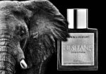NISHANE AFRIKA OLIFANT 50ML