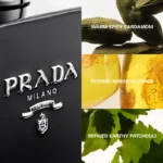 PRADA L`HOMME INTENSE EDP 100ML PRADA L`HOMME INTENSE EDP 100ML