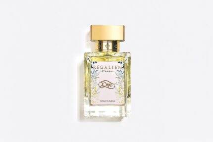 REGALIEN DEM EDP U 80ML