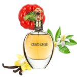 ROBERTO CAVALLI ROBERTO CAVALLI EDP D 30ML