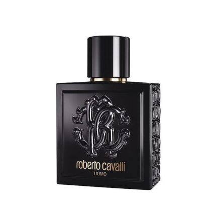 ROBERTO CAVALLI UOMO EDT 100ML