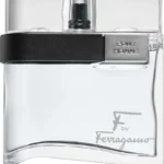 SALVATORE FERRAGAMO F BY BLACK EDT M 100ML