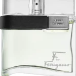 SALVATORE FERRAGAMO F BY F HOMME EDT 100ML