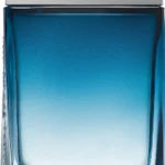SALVATORE FERRAGAMO SUBTIL EDT M 50ML