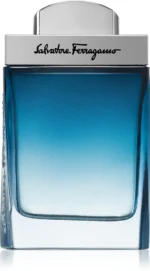 SALVATORE FERRAGAMO SUBTIL EDT M 50ML
