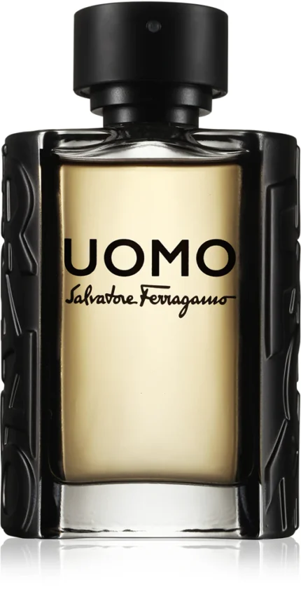 SALVATORE FERRAGAMO UOMO EDT 100ML