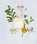 SANTA MARIA NOVELLA CINQUANTA EDC U 100ML B.O