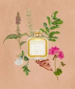 SANTA MARIA NOVELLA PATCHOULI EDC U 100ML B.O