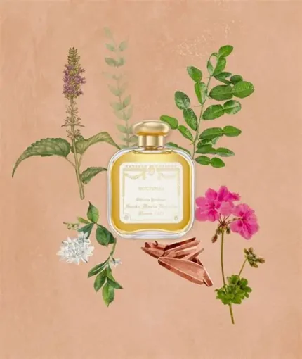 SANTA MARIA NOVELLA PATCHOULI EDC U 100ML B.O