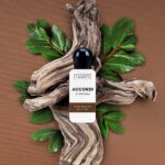 THE MERCHANT OF VENICE ACCORDI DI PATCHOULI INDONESIA EDP U 30ML B.O THE MERCHANT OF VENICE ACCORDI DI PATCHOULI INDONESIA EDP U 30ML B.O