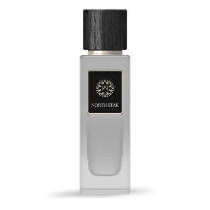 THE WOODS COLLECTION NATURAL NORTH STAR EDP M 100ML