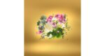 XERJOFF CASAMORATI CASAFUTURA EDP U