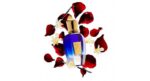 XERJOFF K`BRIDGE EDP U 50ML