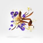 XERJOFF KEMI COLLECTION AQUA REGIA EDP U 100ML XERJOFF KEMI COLLECTION AQUA REGIA EDP U 100ML
