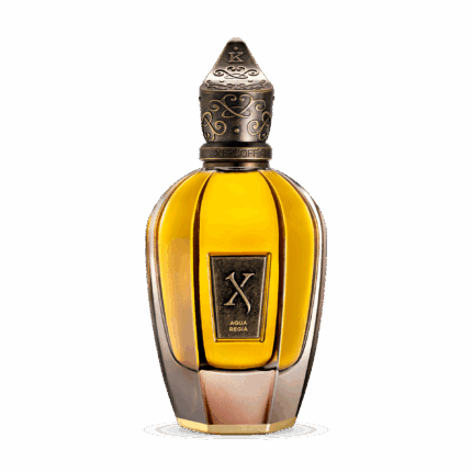 XERJOFF KEMI COLLECTION AQUA REGIA EDP U 100ML