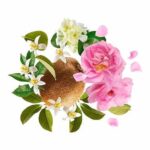XERJOFF OESEL EDP 50ML