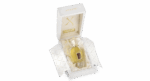 XERJOFF RICHWOOD EDP U