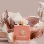 AMOUAGE GUIDANCE EDP D 100ML