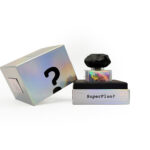 FILIPPO SORCINELLI LA VOGLIA D`AMARE EDP U 50ML - Image 2