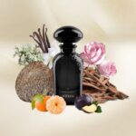 WIDIAN BLACK II EXTRAIT DE PARFUM U 50ML WIDIAN BLACK II EXTRAIT DE PARFUM U 50ML - Image 2