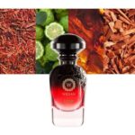 WIDIAN LIWA EXTRAIT DE PARFUM U 50ML WIDIAN LIWA EXTRAIT DE PARFUM U 50ML - Image 3