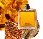 COSTUME NATIONAL SOUL EDP U 100ML - Image 2