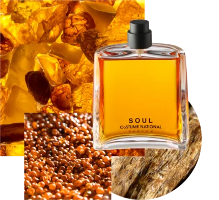 COSTUME NATIONAL SOUL EDP U 100ML