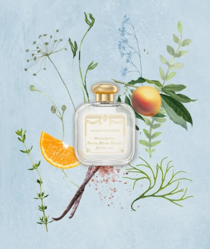 SANTA MARIA NOVELLA ANGELI DI FIRENZE EDP U 50ML B.O