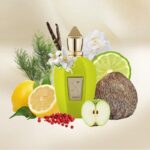 XERJOFF AMABILE EDP U 100ML B.O - Image 2
