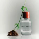 BJORK AND BERRIES NEVER SPRING EDP U 50ML B.O - Image 2