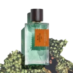 GOLDFIELD & BANKS BLUE CYPRESS EDP U 100ML B.O - Image 2