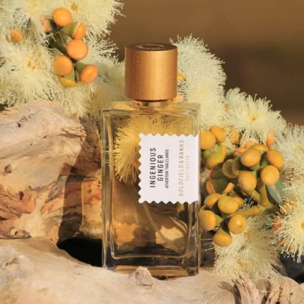 GOLDFIELD & BANKS INGENIOUS GINGER EDP U 100ML B.O