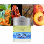 THE SPIRIT OF DUBAI  SAMA EDP U 50ML - Image 3
