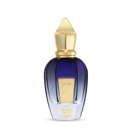 XERJOFF MORE THAN  WORLDS EDP U 50ML B.O.
